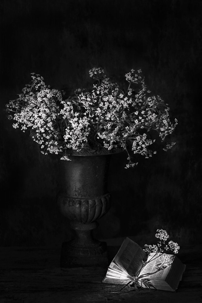 Nature morte florale à l