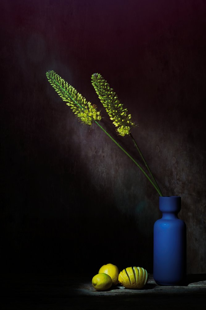 Fleurs jaunes « Moody » et citrons - Saskia Dingemans