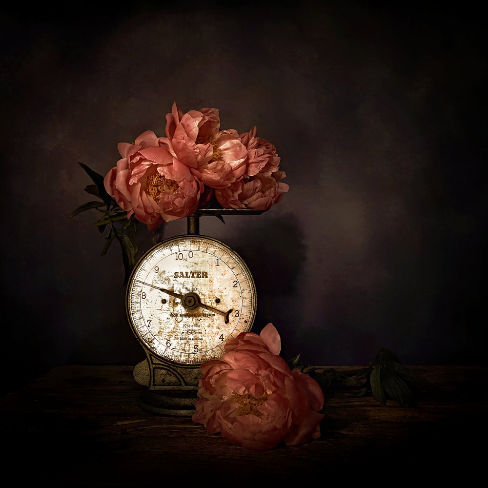Pivoines roses à l