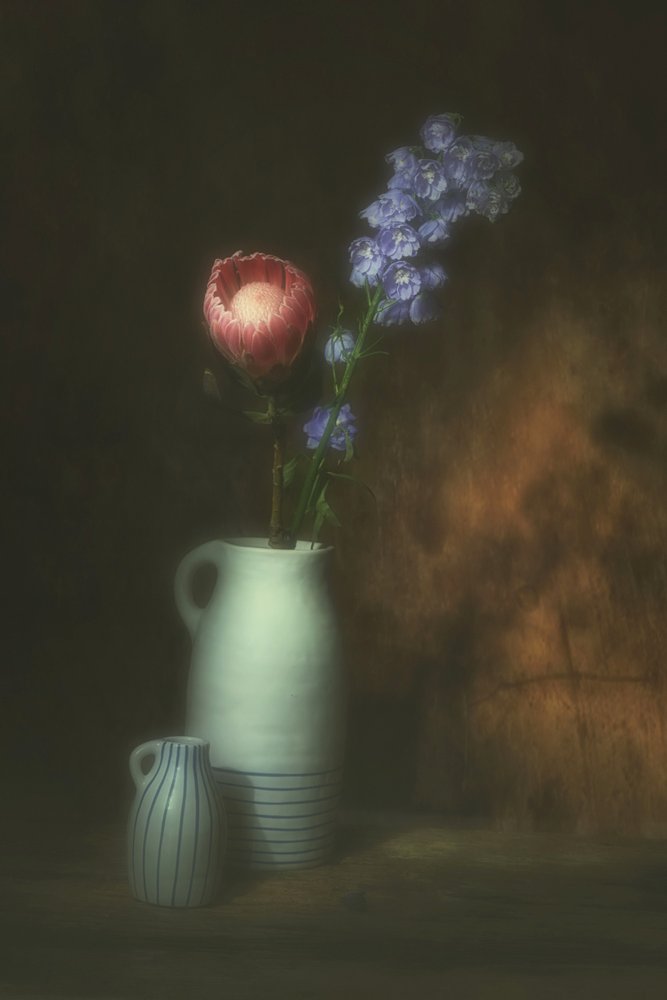 Nature morte florale à la protéa rose - Saskia Dingemans