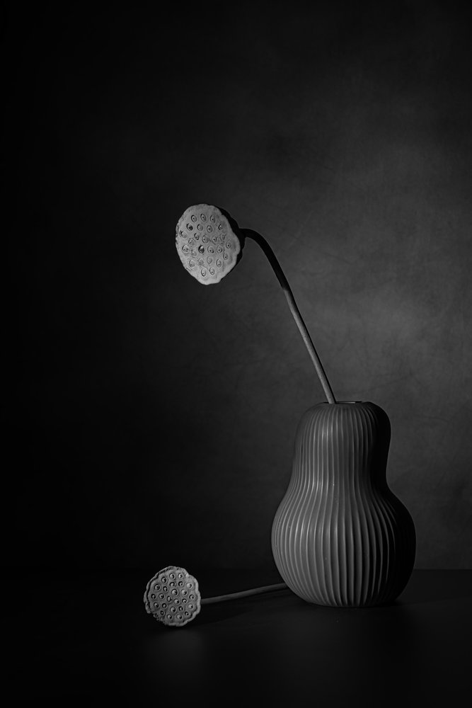 Nature morte au lotus tranquille - Saskia Dingemans