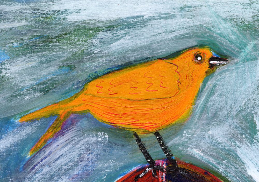 Oiseau orange vif - Sharyn Bursic