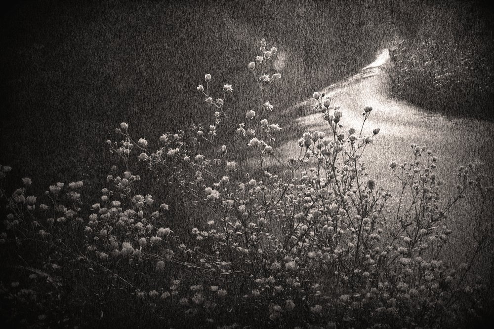 - Sheila Bernard
