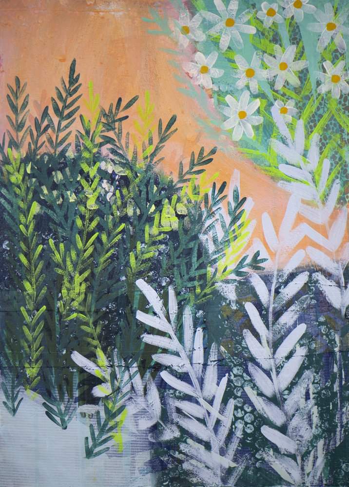 Jardin de marguerites éclatant - Shelley Hampe