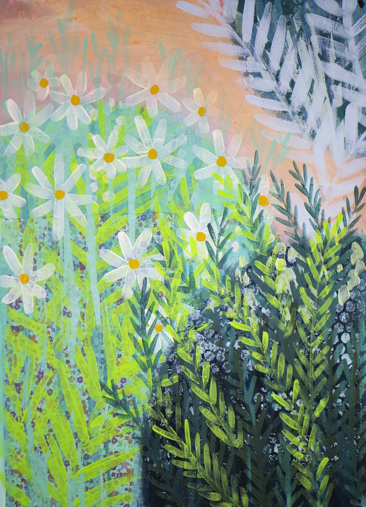 Jardin de marguerites éclatant - Shelley Hampe