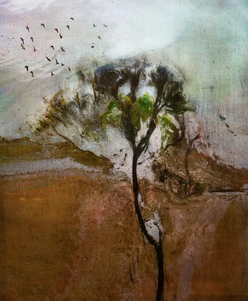 Paysage d