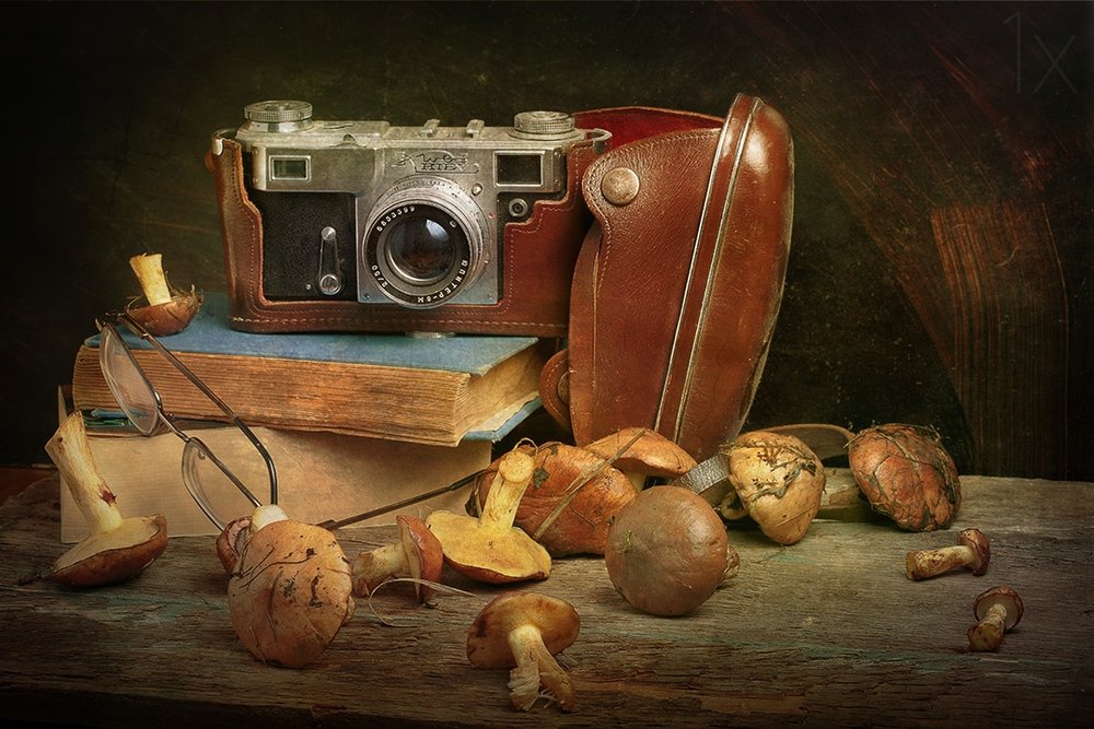 Appareil photo vintage et champignons - Stanislav Aristov
