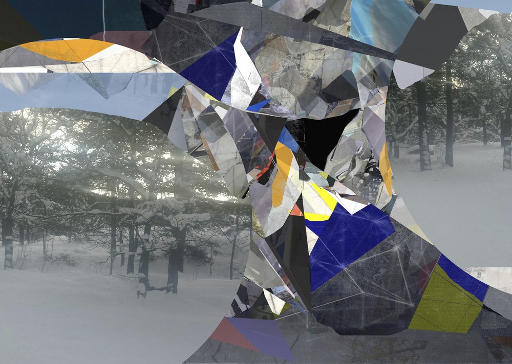 Paysage hivernal morcelé - Stefan Fransson