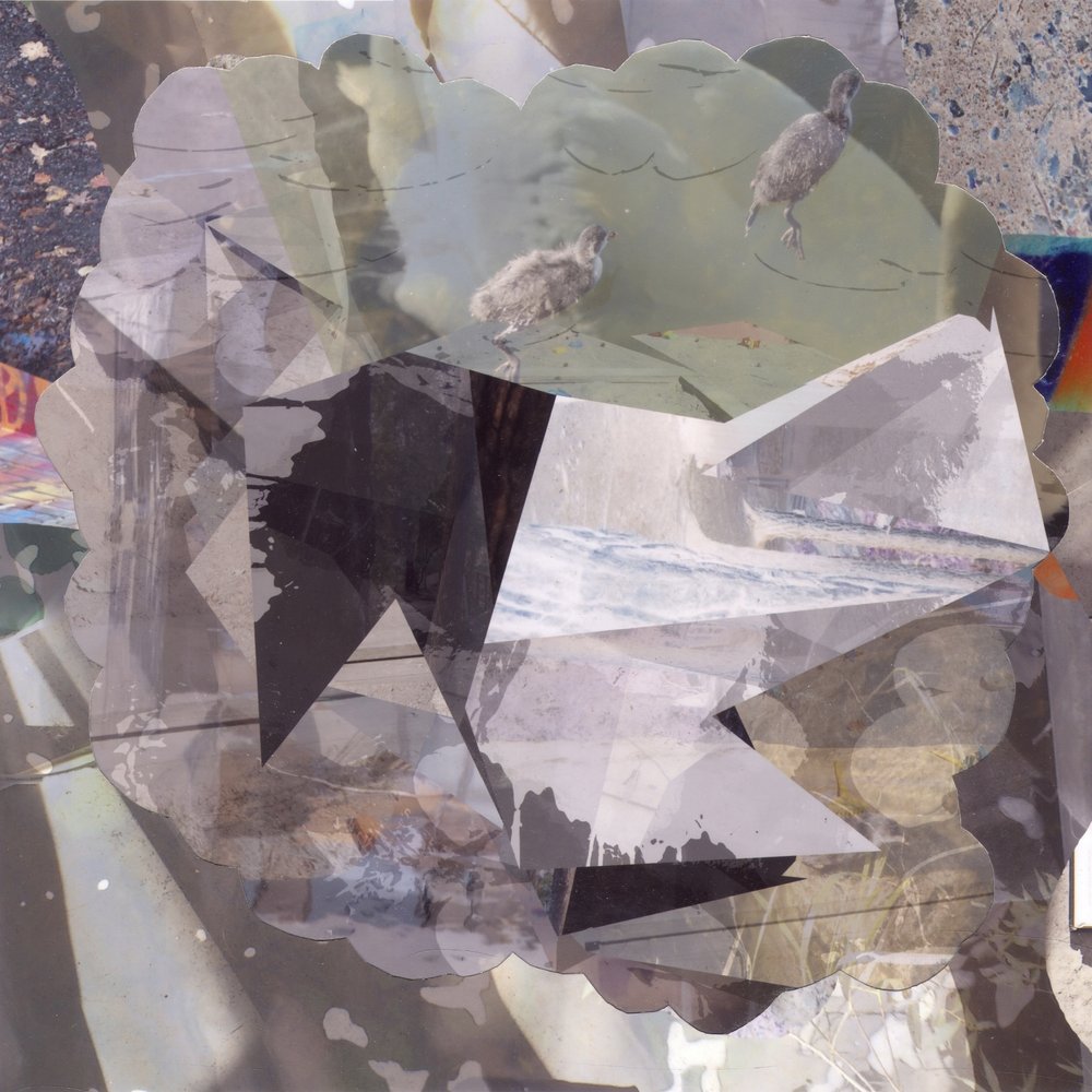 Oiseaux abstraits en superposition - Stefan Fransson