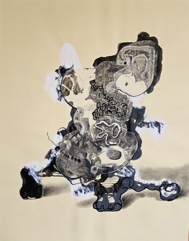 Abstraction organique complexe - Stefano Mazzolini