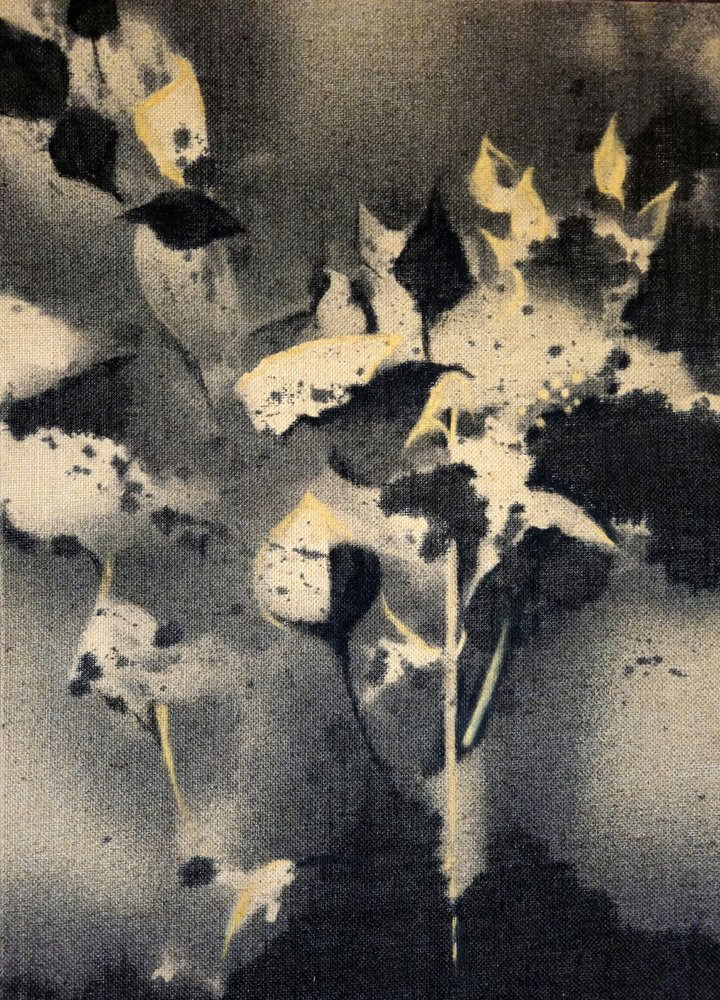 Formes botaniques sombres - Stefano Mazzolini