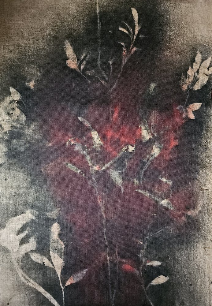 Lueur botanique sombre - Stefano Mazzolini