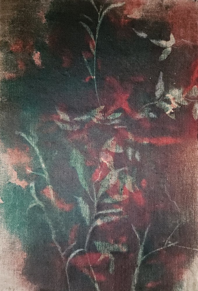 Sérénité botanique sombre - Stefano Mazzolini