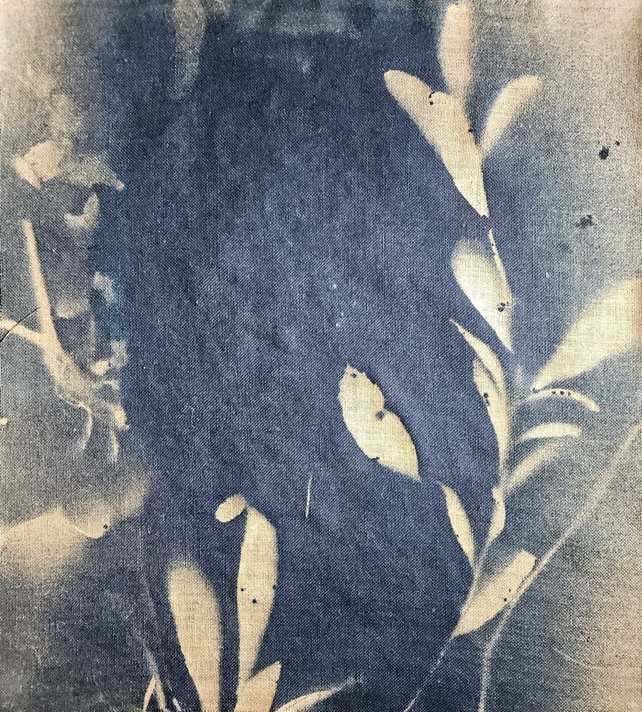 Impressions de feuilles indigo - Stefano Mazzolini