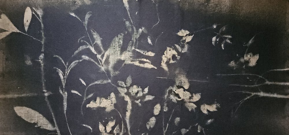 Floraison du jardin d