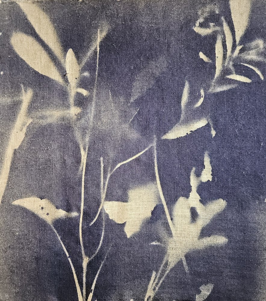 Bleus botaniques vintage - Stefano Mazzolini