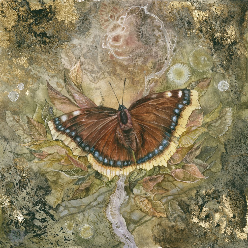 Ailes de papillon éthérées - Stephanie Law