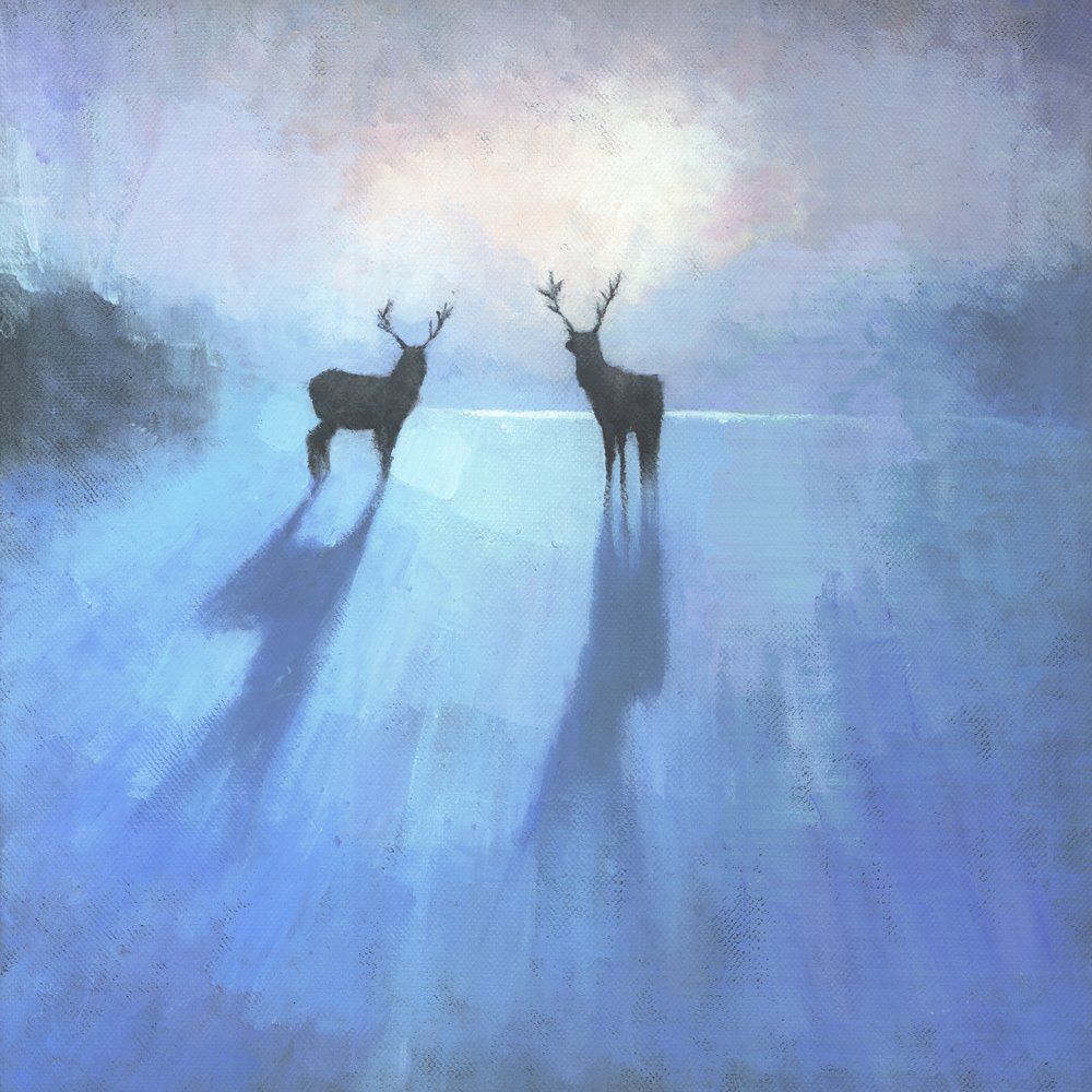 Les majestueux cerfs en hiver - Steve Mitchell