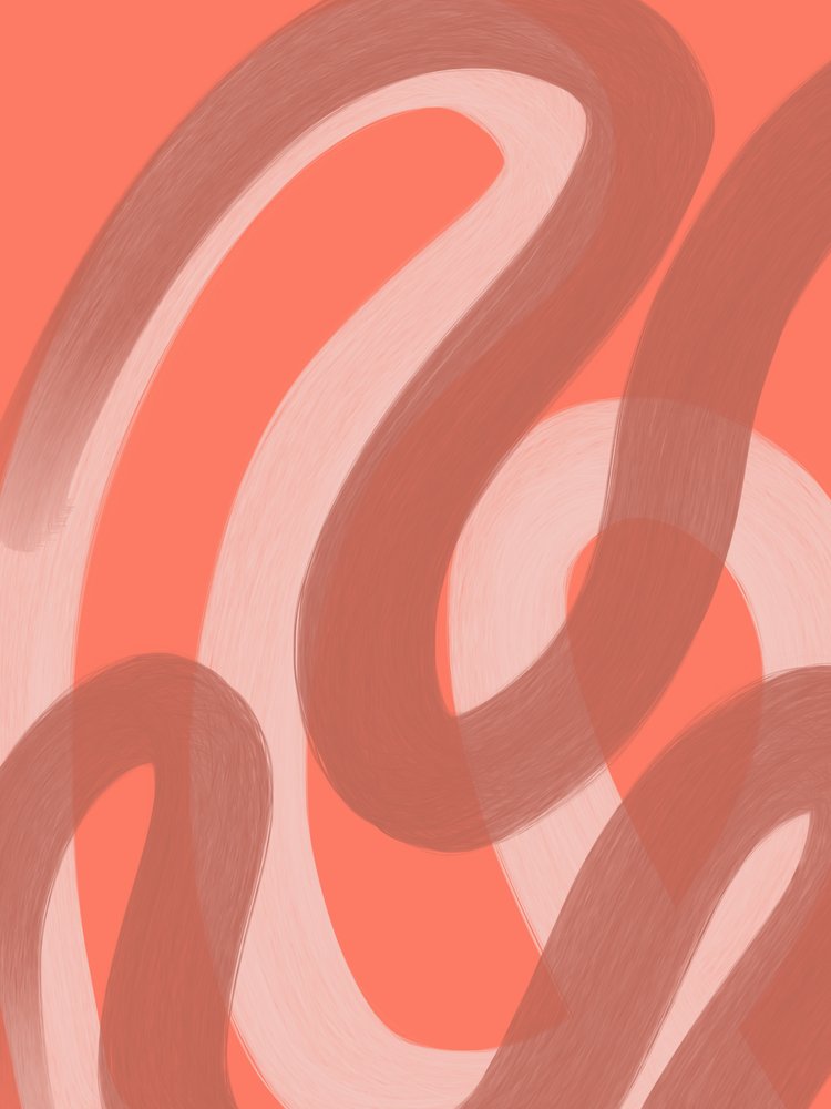 « Coral Flow » (résumé) - Studio Palette