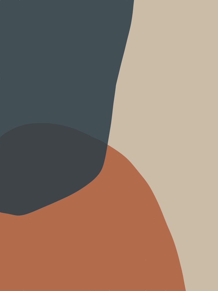 Formes organiques aux accents terreux - Studio Palette
