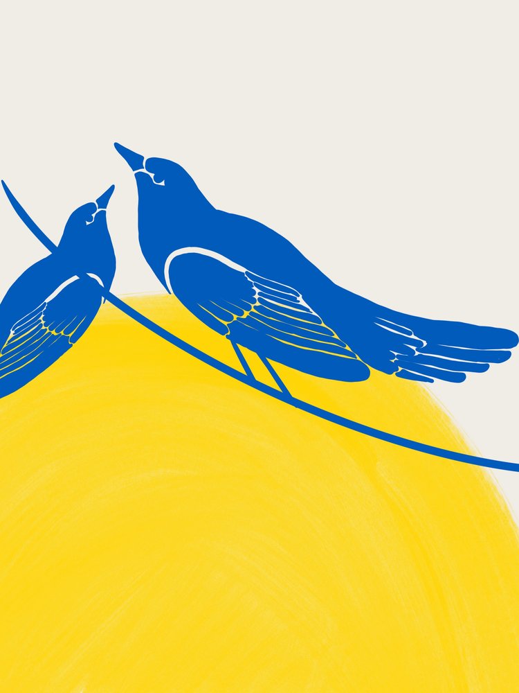 Les oiseaux bleus pleins d