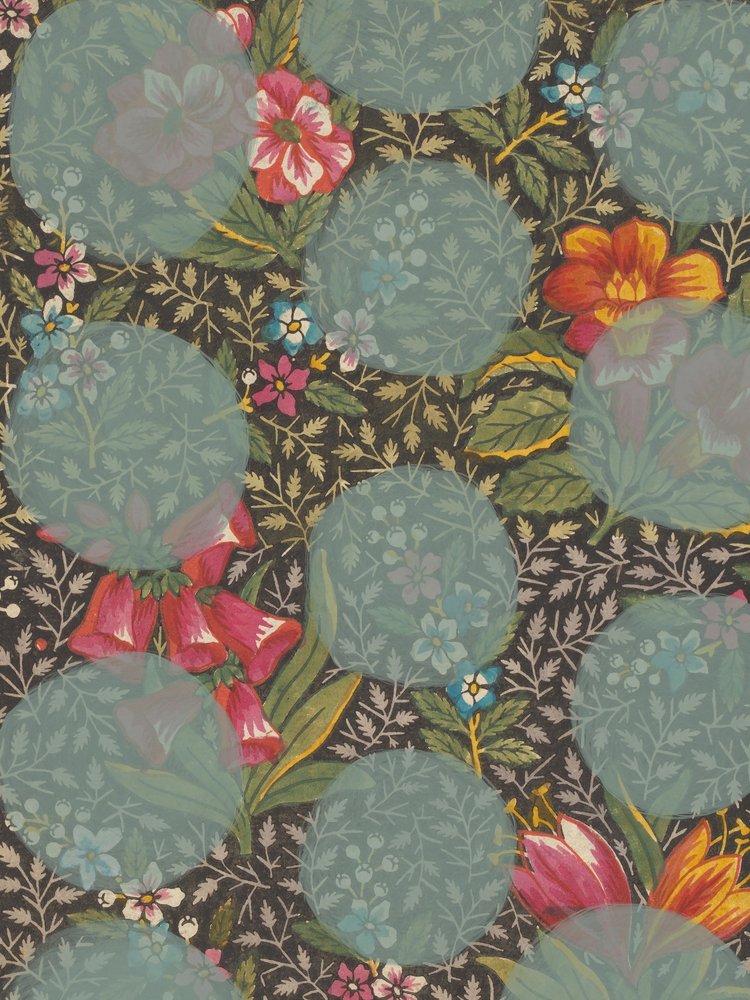 Un jardin floral aux couleurs éclatantes - Studio Palette