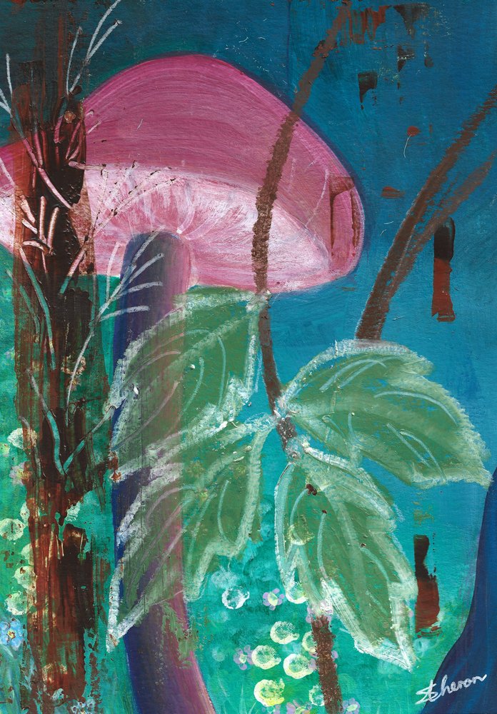 Champignon des bois aux couleurs vives - Sunet Theron