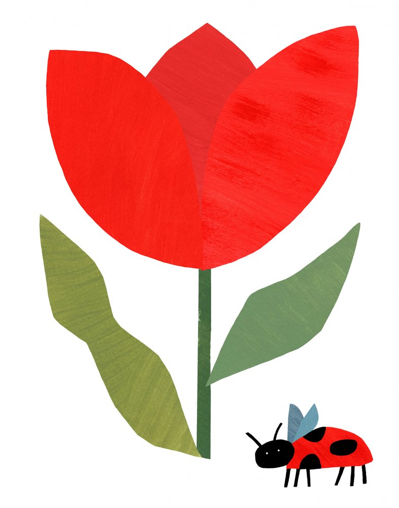 Tulipe rouge et coccinelle - Susan Black