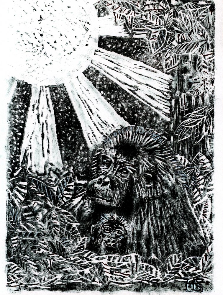 La famille des gorilles de la jungle - Tim Hoinkis