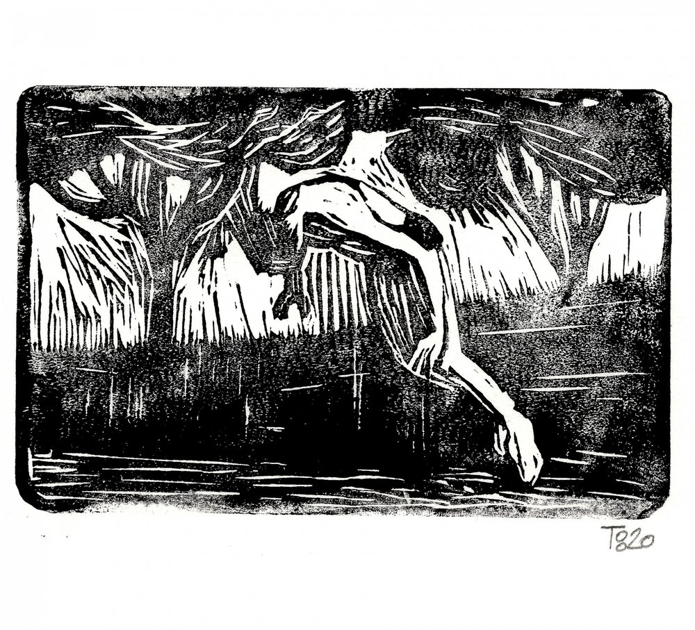 Chute dans la forêt - Tore Bahnson