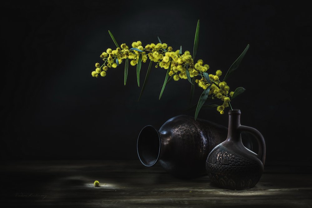  - Vadim Kulinsky