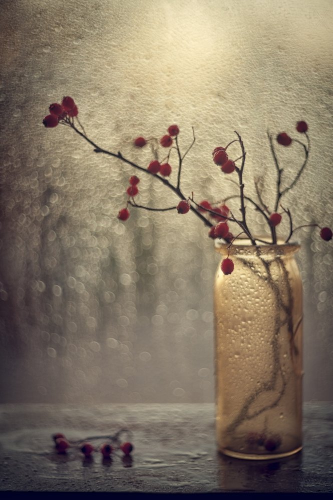 Des baies près d