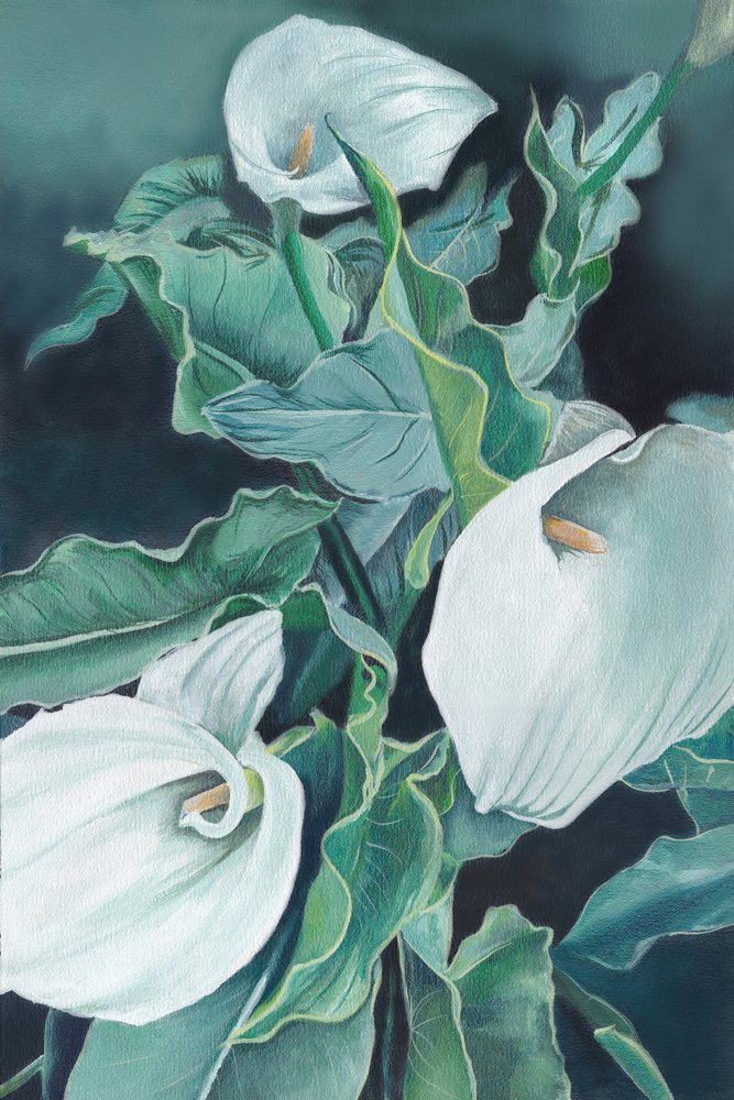 Élégants lis calla - Viccy Wanliss