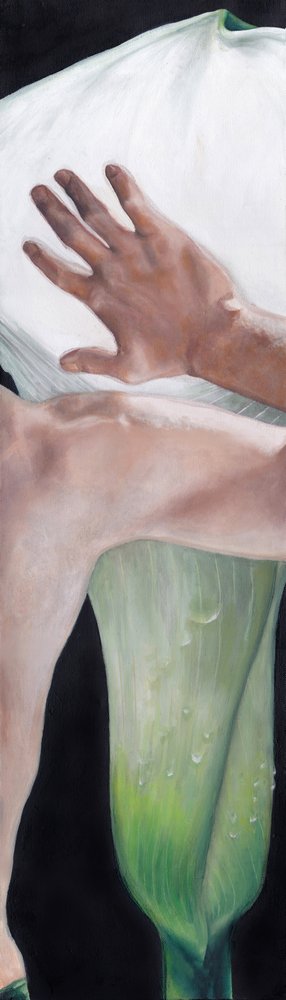 Une main effleurant un lis calla - Viccy Wanliss