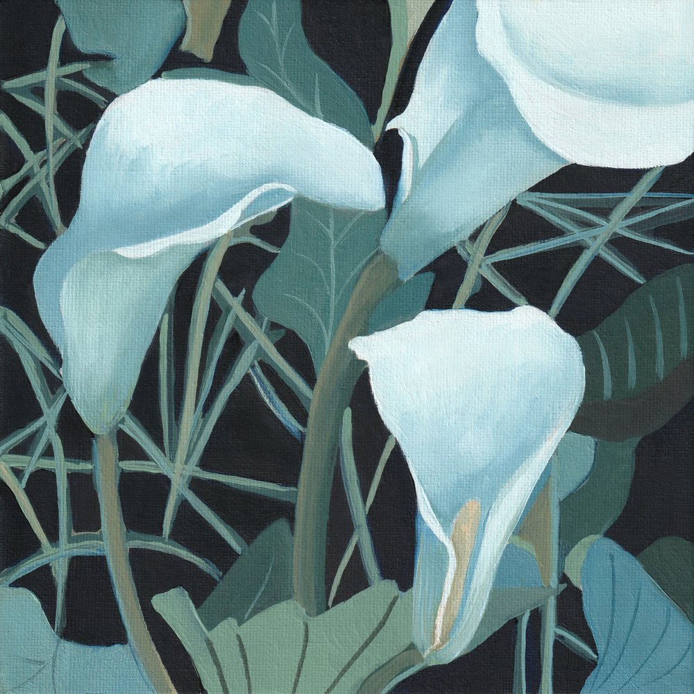 Arum 2 stylisé, par Viccy Wanliss - Viccy Wanliss