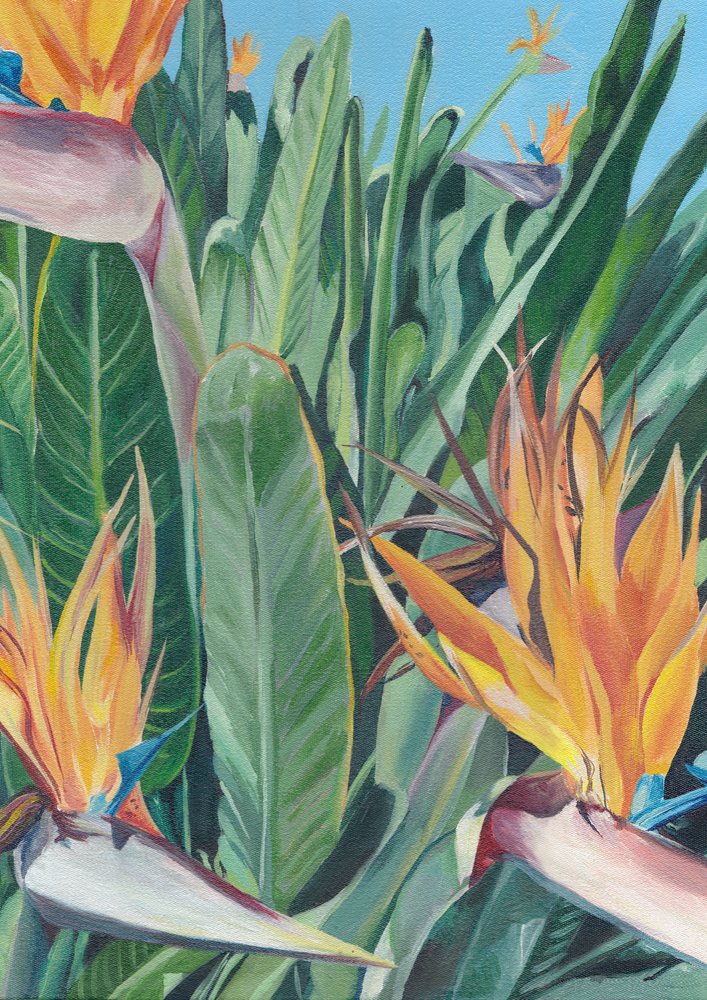 Oiseau de paradis aux couleurs éclatantes - Viccy Wanliss