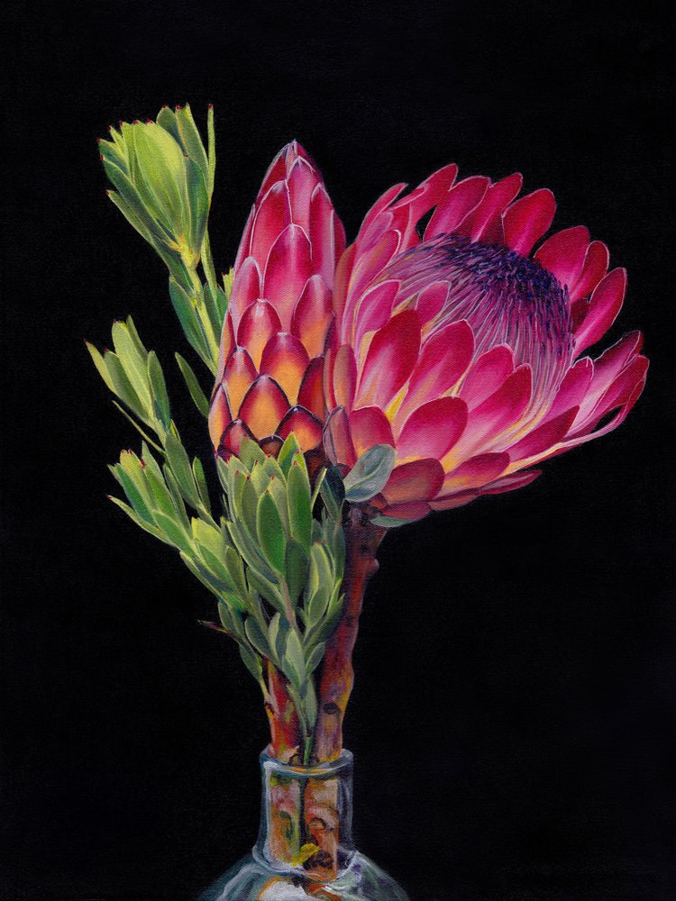 Fleurs éclatantes de protéa - Viccy Wanliss
