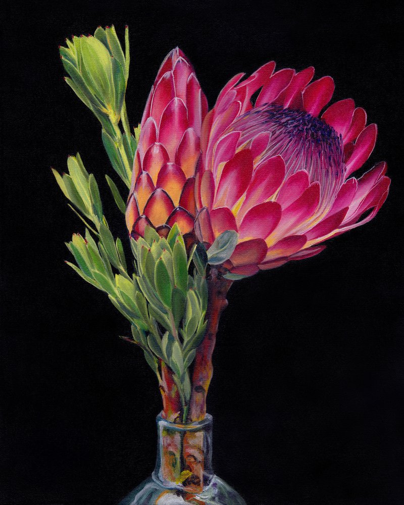 Des fleurs de protéa aux couleurs éclatantes - Viccy Wanliss