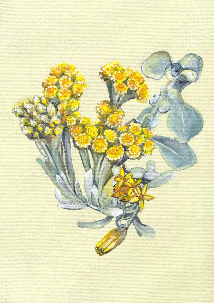  - Viccy Wanliss