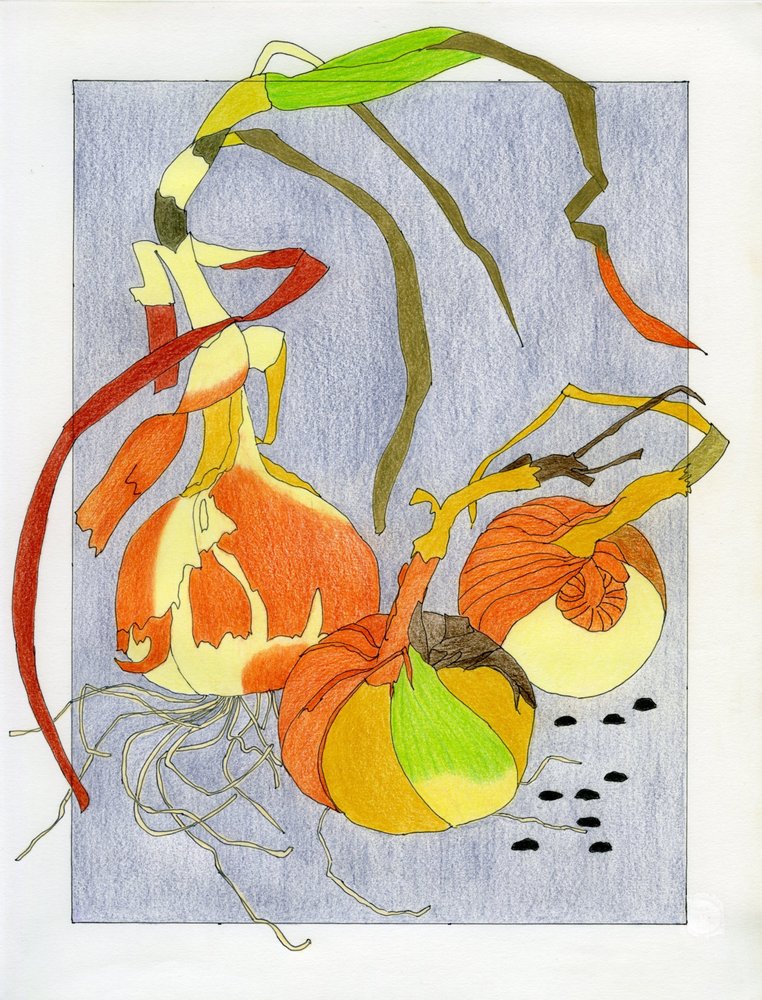 Nature morte aux oignons en germination - Viktoriia Saunina
