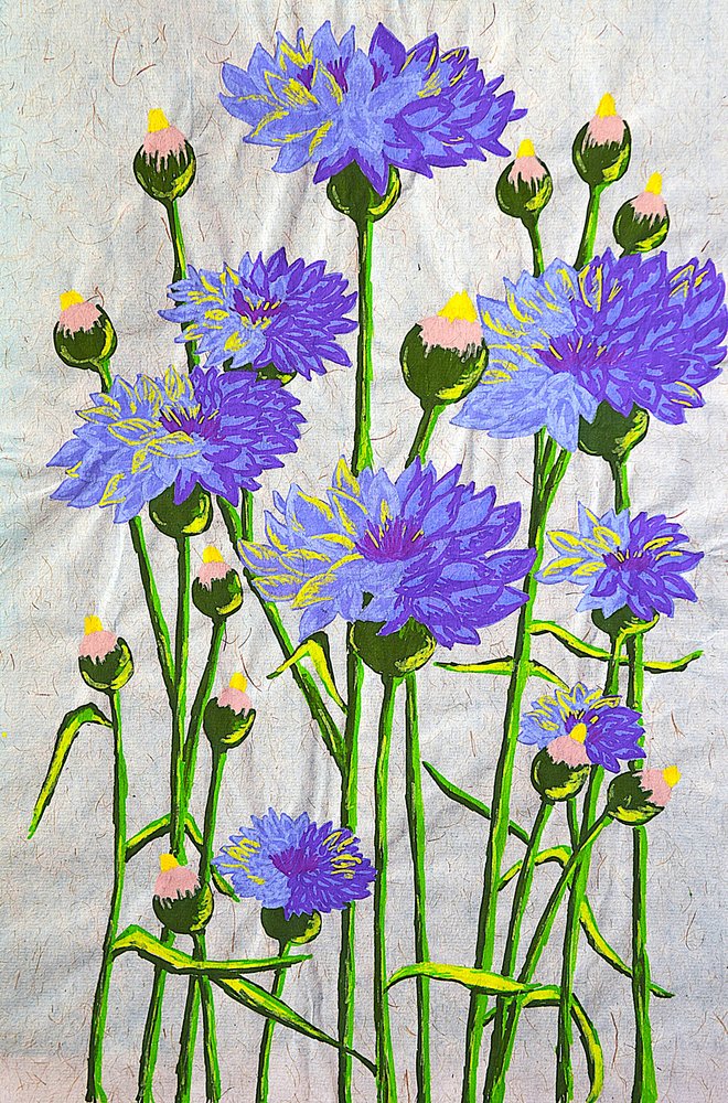 Des bleuets d