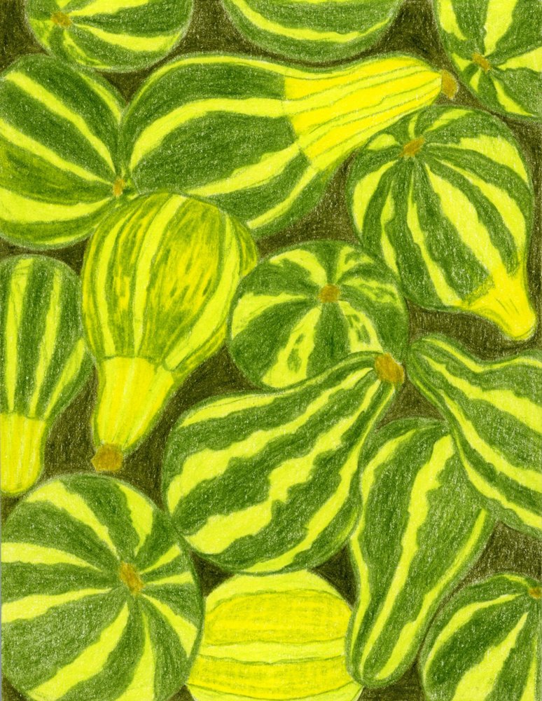 Courges rayées aux couleurs vives - Viktoriia Saunina