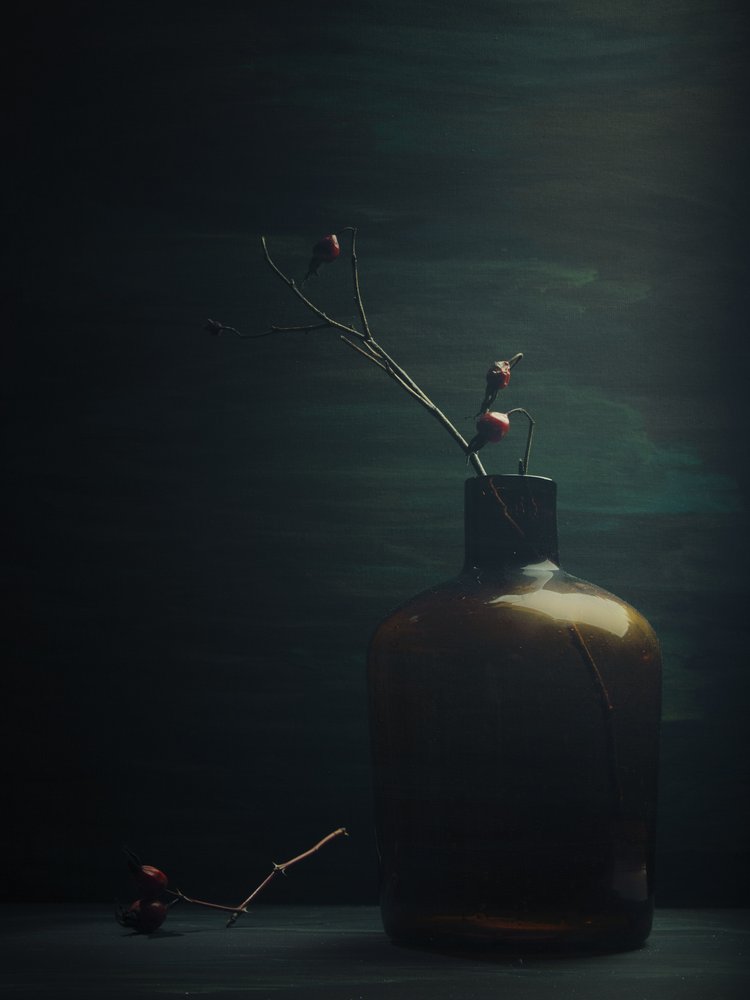 Bouteille « Quiet Rose Hips » - Vladimir Pavlovskyy