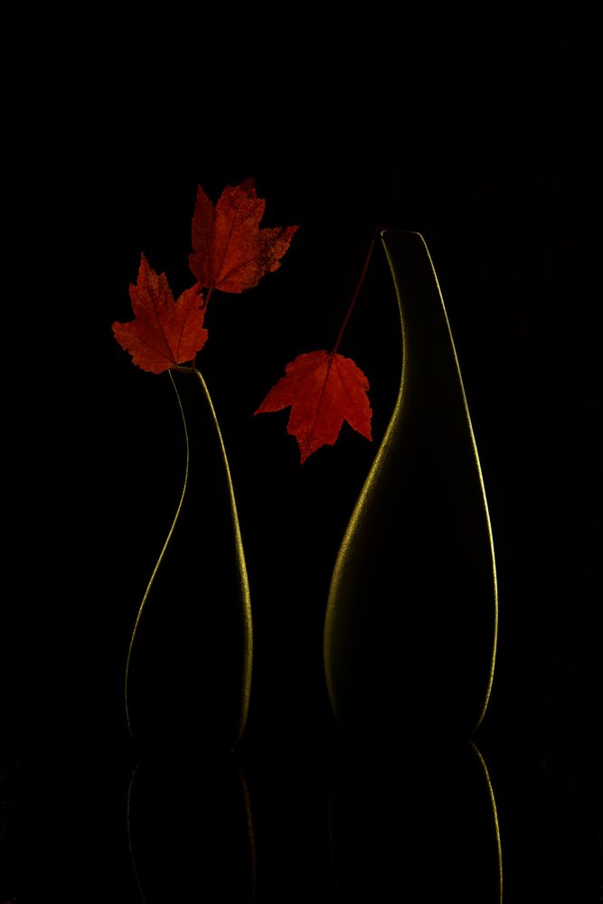  - Wendy Xu