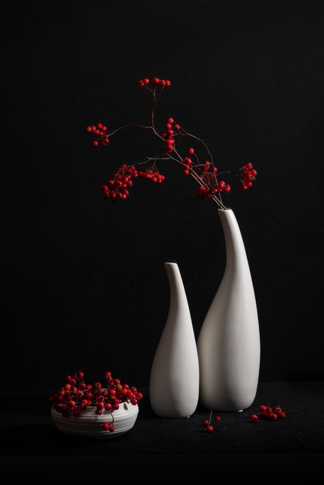 Nature morte élégante aux baies - Xiaoyuan Xu