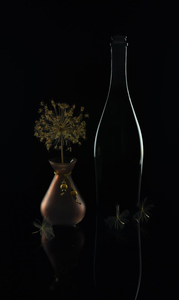 Nature morte sombre et élégante - Yuanwei Zuo APA