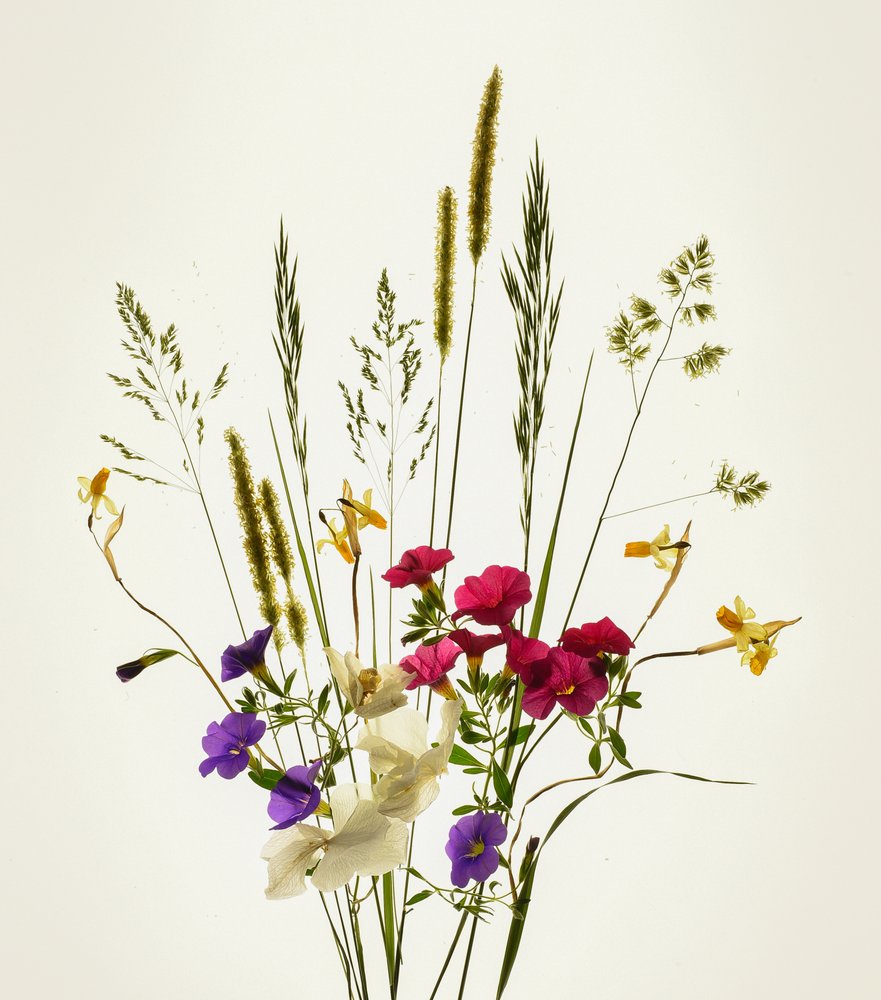 Bouquet « Prairie colorée » - Yuanwei Zuo APA