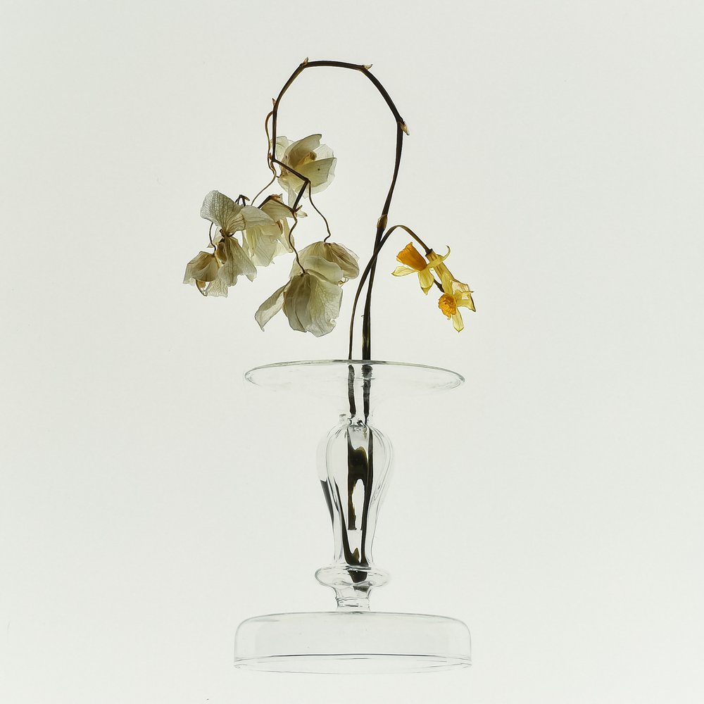 Nature morte : Beauté fanée - Yuanwei Zuo APA