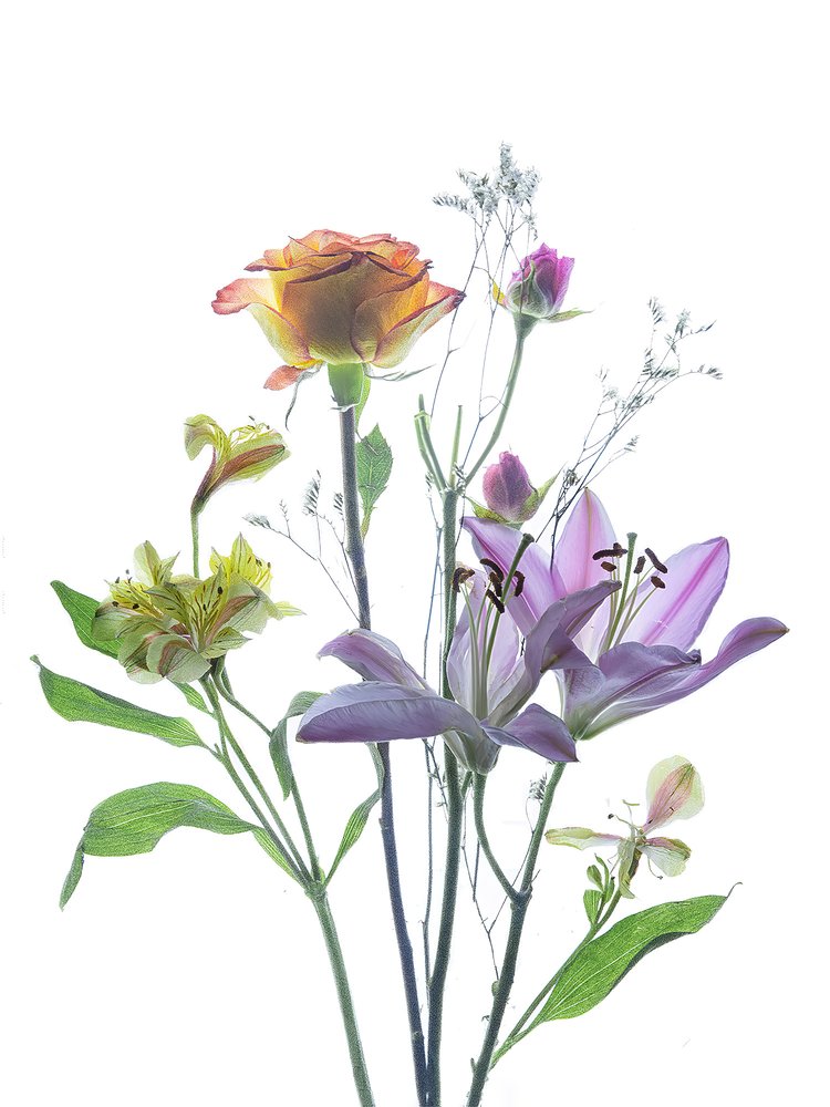 Beauté florale translucide - Yun Thwaits