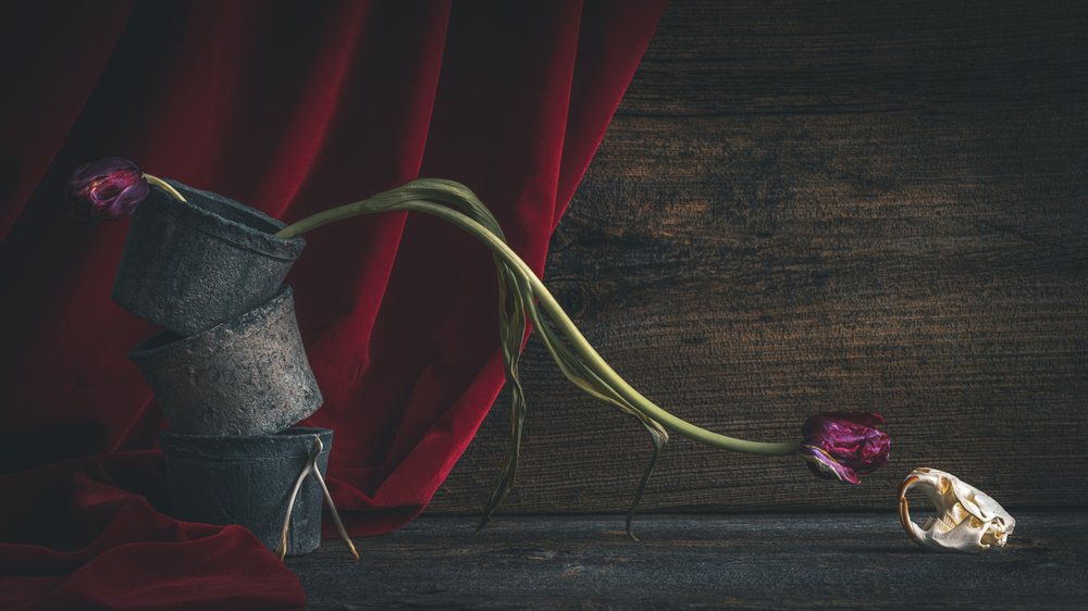 Crâne floral sombre - alan shapiro